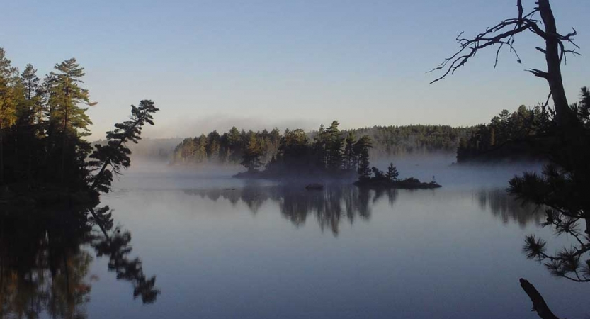 The sky appears in gentle colors above trees and a body of water. 